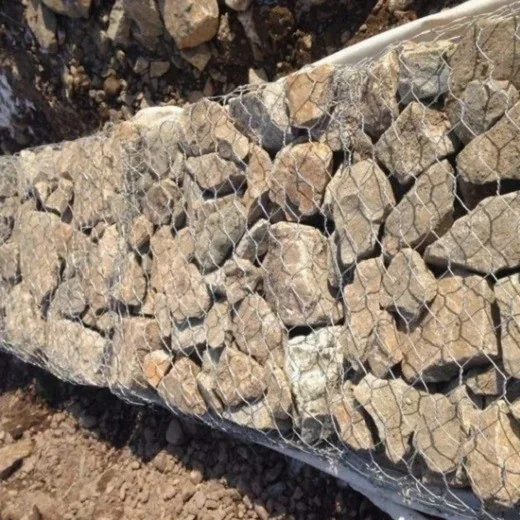 Gabion Bridge Scour Protection System