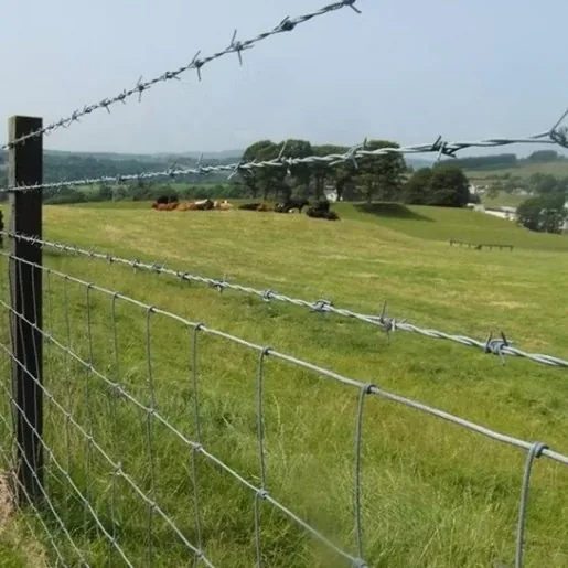 Electric Fence System | Perimeter Energizer & Alloy Wire