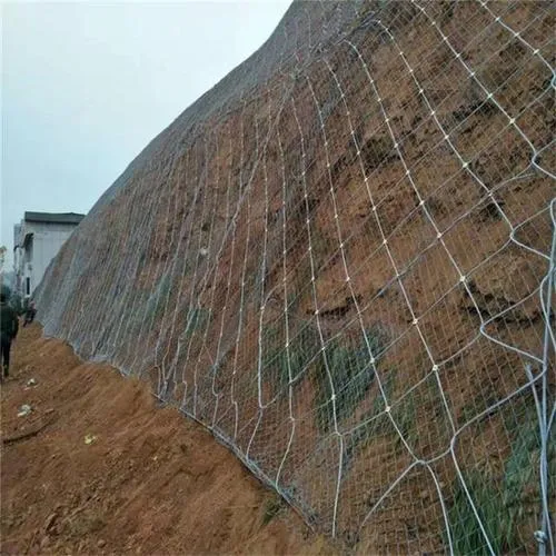 Slope Stabilization Netting