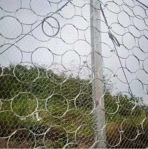 Rock Fall Protection Mesh